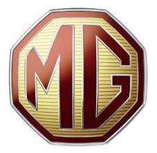 mg abs pump