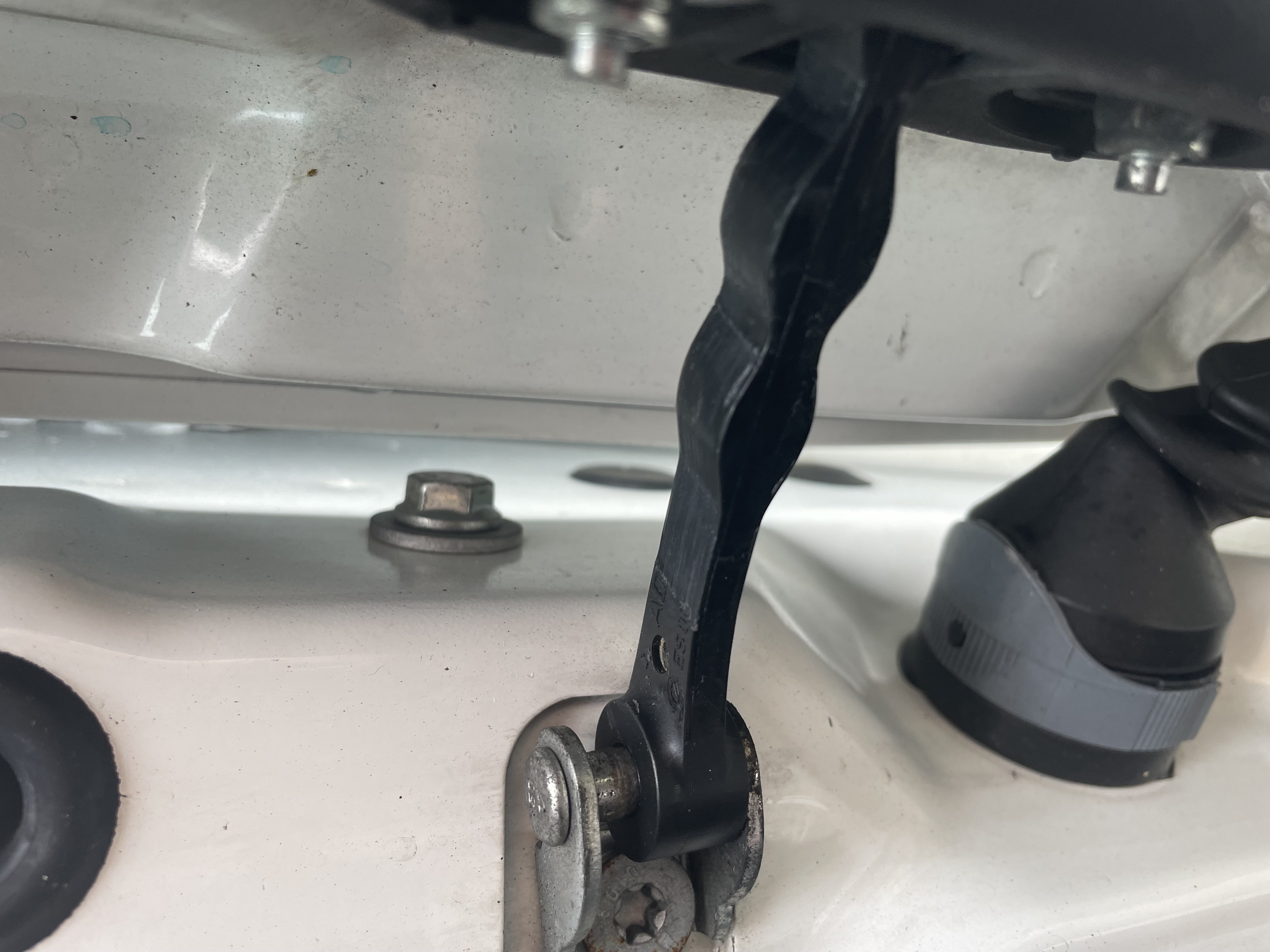 PEUGEOT Bipper door check strap