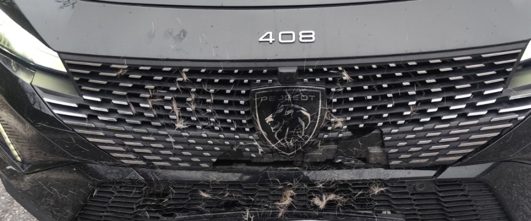 Peugeot 408 BUMPER - FRONT