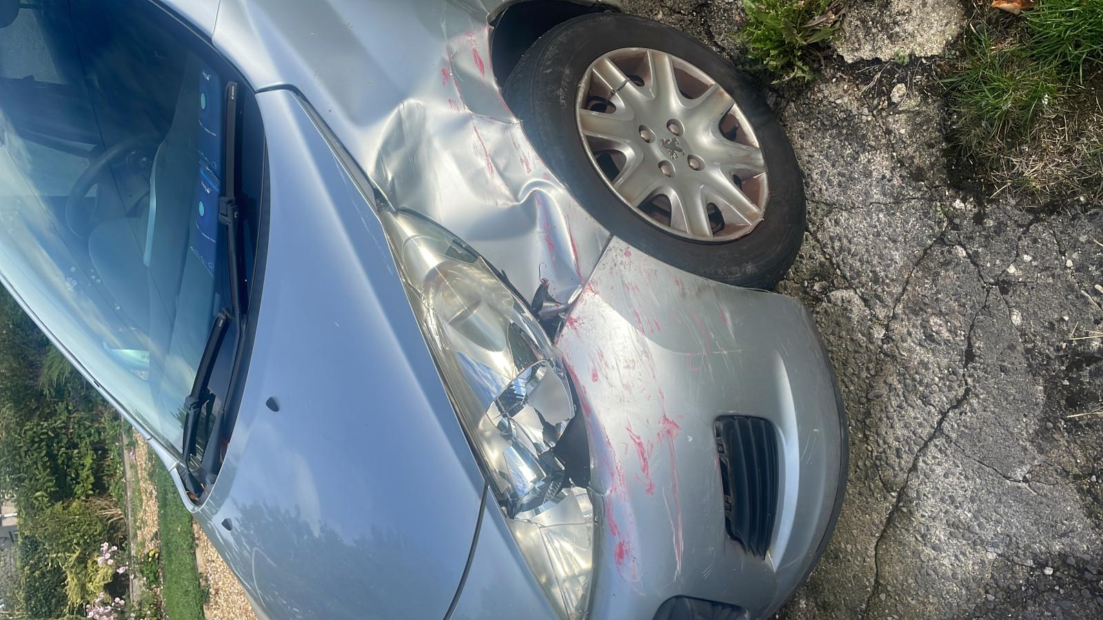 PEUGEOT 207 WING - NS Left