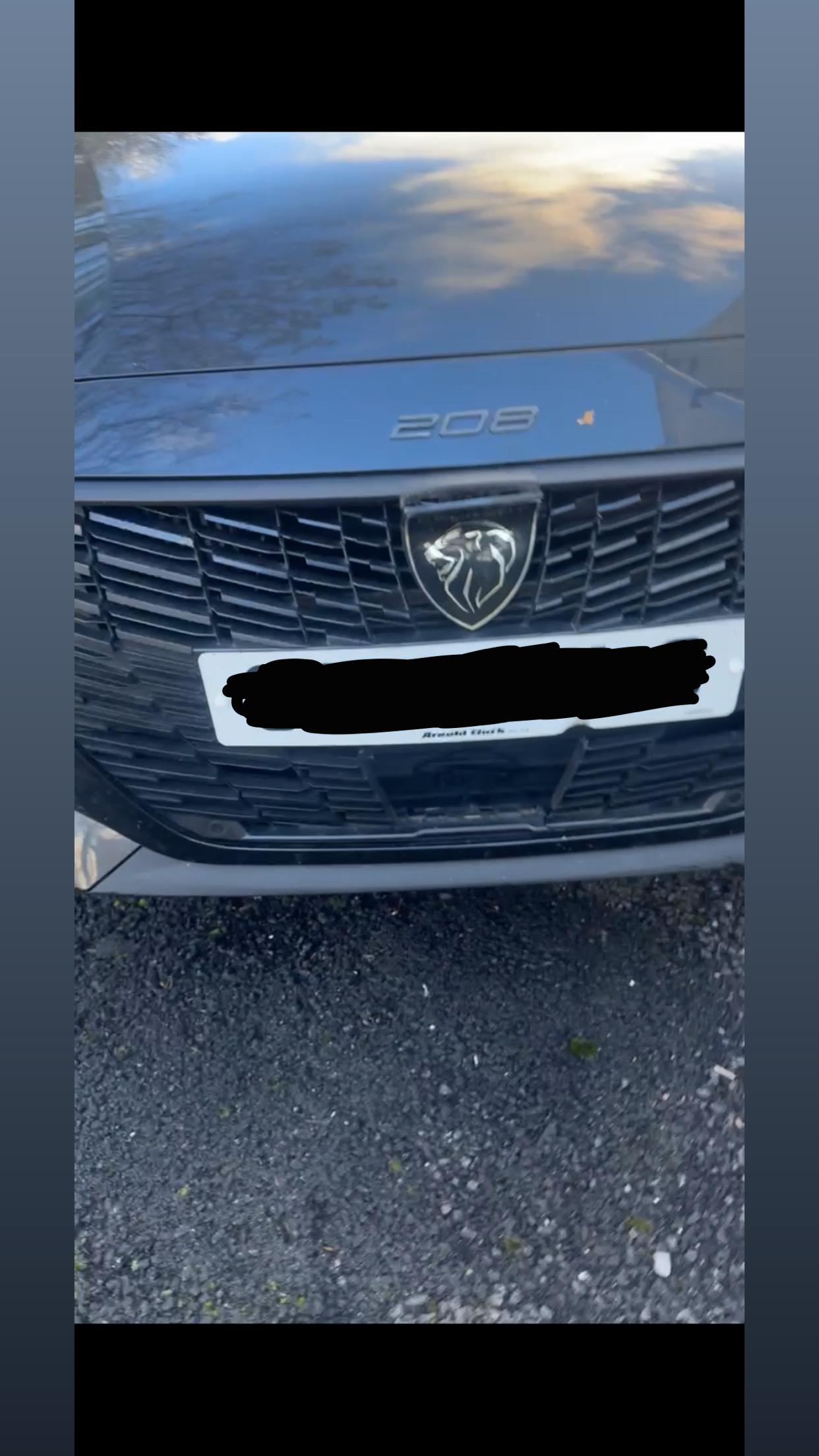 PEUGEOT 208 GRILLE - FRONT