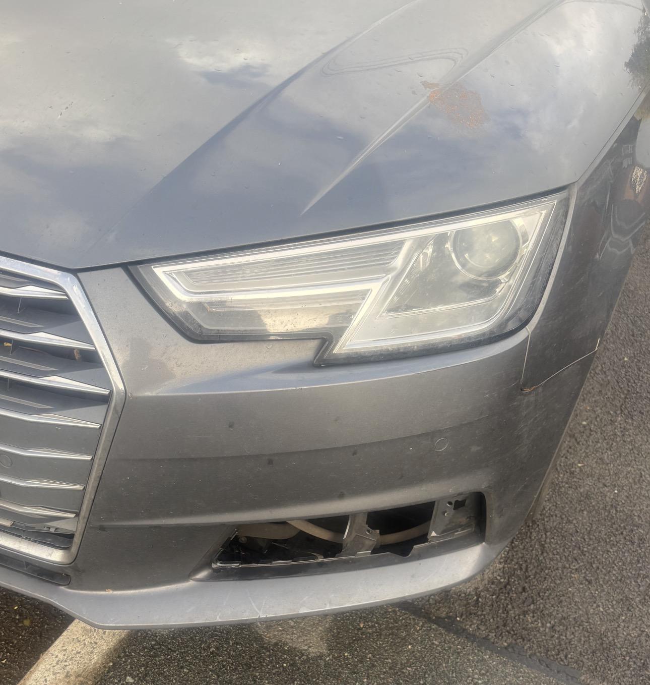 AUDI A4 GRILLE - LOWER